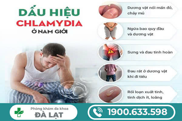 Hình ảnh minh họa